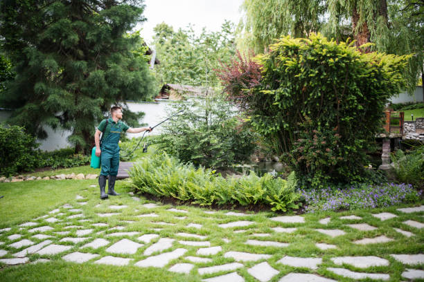 Best Local Pest Control Services  in Laton, CA