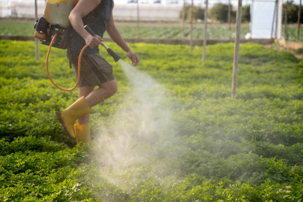 Best Affordable Pest Control Services  in Laton, CA
