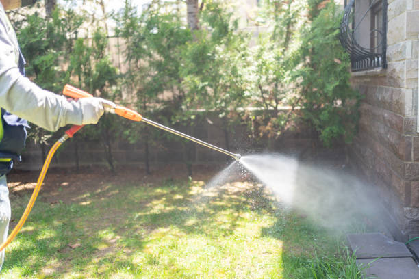 Best Insect Control  in Laton, CA