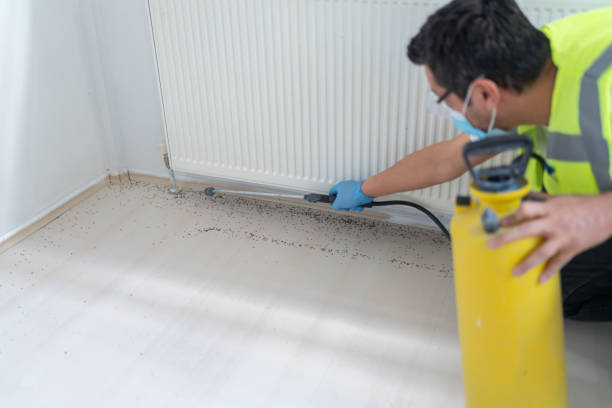 Best Ant Control Services  in Laton, CA