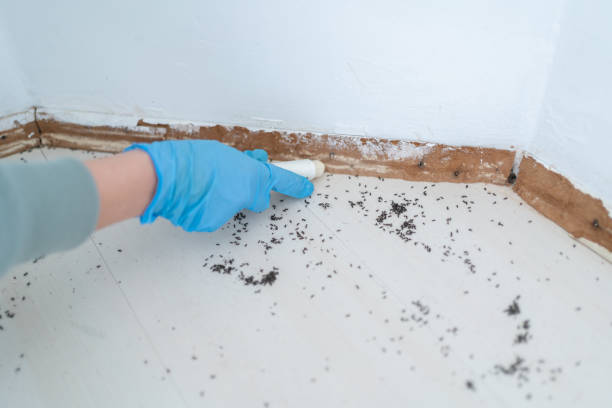 Best Pest Prevention Services  in Laton, CA
